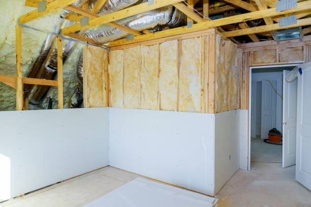 Best Geographic-Specific Insulation Services in Hawi, HI
